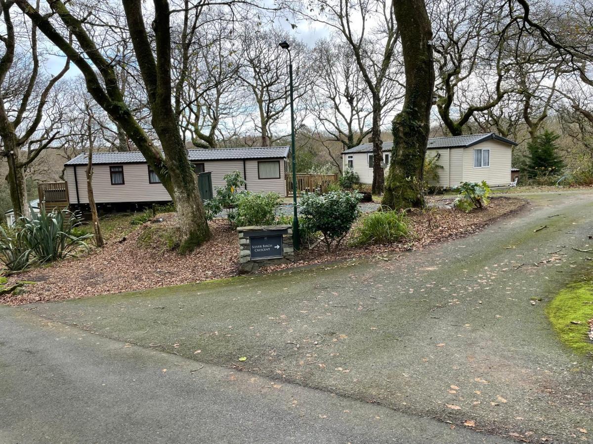 Snowdonia Holidays Caravan Hire - Aberdunant Park - 111 Silver Birch Портмадог Екстериор снимка