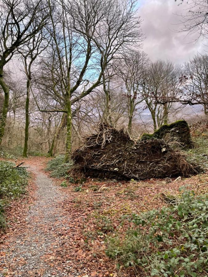 Snowdonia Holidays Caravan Hire - Aberdunant Park - 111 Silver Birch Портмадог Екстериор снимка